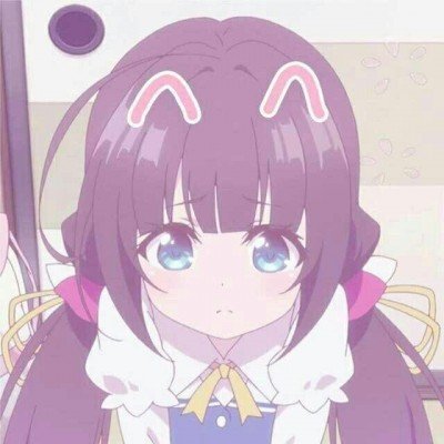 公司倒闭5只猫被法拍